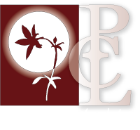 Park City Lights